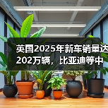 英国2025年新车销量达202万辆，比亚迪等中国车企市占率为9.7%（图4）