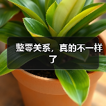 整零关系,真的不一样了(图2) 整零关系,真的不一样了(图2)