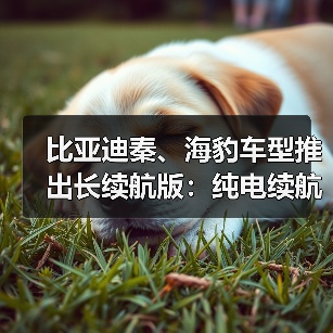 比亚迪秦、海豹车型推出长续航版:纯电续航均突破210km(图3) 比亚迪秦、海豹车型推出长续航版:纯电续航均突破210km(图3)