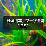 长城汽车,又一次全网“征名”(图4) 长城汽车,又一次全网“征名”(图4)