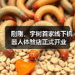 刚刚,宇树首家线下机器人体验店正式开业(图2) 刚刚,宇树首家线下机器人体验店正式开业(图2)