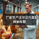 厂家生产沃尔沃汽车配件刹车鼓（图3）