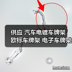 供应 汽车电镀车牌架 欧标车牌架 电子车牌架 汽车牌照框（图1）