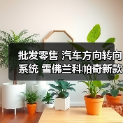 批发零售 汽车方向转向系统 雪佛兰科帕奇新款KS-085A 液压方向机(图1) 批发零售 汽车方向转向系统 雪佛兰科帕奇新款KS-085A 液压方向机(图1)