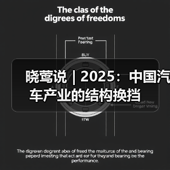晓莺说 | 2025:中国汽车产业的结构换挡(图4) 晓莺说 | 2025:中国汽车产业的结构换挡(图4)