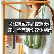 长城汽车正式取消大小周,全面落实双休制度(图4) 长城汽车正式取消大小周,全面落实双休制度(图4)