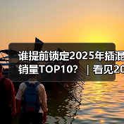谁提前锁定2025年插混销量TOP10?|看见2025(图1) 谁提前锁定2025年插混销量TOP10?|看见2025(图1)