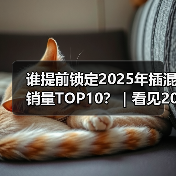 谁提前锁定2025年插混销量TOP10?|看见2025(图3) 谁提前锁定2025年插混销量TOP10?|看见2025(图3)