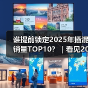谁提前锁定2025年插混销量TOP10?|看见2025(图4) 谁提前锁定2025年插混销量TOP10?|看见2025(图4)