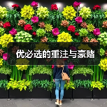 优必选的重注与豪赌(图1) 优必选的重注与豪赌(图1)