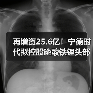 再增资25.6亿!宁德时代拟控股磷酸铁锂头部公司!(图2) 再增资25.6亿!宁德时代拟控股磷酸铁锂头部公司!(图2)