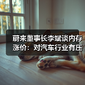 蔚来董事长李斌谈内存涨价：对汽车行业有压力，买车要趁早（图4）