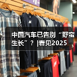 中国汽车已告别“野蛮生长”?|看见2025(图2) 中国汽车已告别“野蛮生长”?|看见2025(图2)