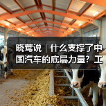 晓莺说 | 什么支撑了中国汽车的底层力量?工业体系、工程师红利与文化基因(图2) 晓莺说 | 什么支撑了中国汽车的底层力量?工业体系、工程师红利与文化基因(图2)