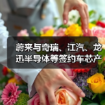 蔚来与奇瑞、江汽、龙迅半导体等签约车芯产业化协同合作(图1) 蔚来与奇瑞、江汽、龙迅半导体等签约车芯产业化协同合作(图1)