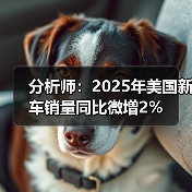 分析师:2025年美国新车销量同比微增2%(图3) 分析师:2025年美国新车销量同比微增2%(图3)