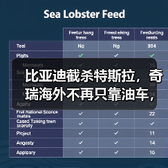 比亚迪截杀特斯拉,奇瑞海外不再只靠油车,新能源致中外地位生变!(图2) 比亚迪截杀特斯拉,奇瑞海外不再只靠油车,新能源致中外地位生变!(图2)