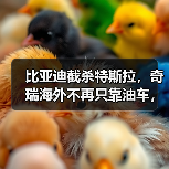 比亚迪截杀特斯拉,奇瑞海外不再只靠油车,新能源致中外地位生变!(图1) 比亚迪截杀特斯拉,奇瑞海外不再只靠油车,新能源致中外地位生变!(图1)