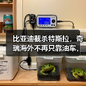 比亚迪截杀特斯拉,奇瑞海外不再只靠油车,新能源致中外地位生变!(图4) 比亚迪截杀特斯拉,奇瑞海外不再只靠油车,新能源致中外地位生变!(图4)