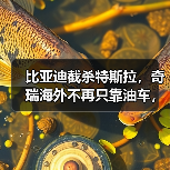 比亚迪截杀特斯拉,奇瑞海外不再只靠油车,新能源致中外地位生变!(图3) 比亚迪截杀特斯拉,奇瑞海外不再只靠油车,新能源致中外地位生变!(图3)