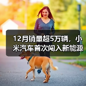 12月销量超5万辆,小米汽车首次闯入新能源销量榜前十(图1) 12月销量超5万辆,小米汽车首次闯入新能源销量榜前十(图1)