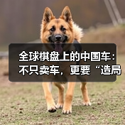 全球棋盘上的中国车:不只卖车,更要“造局”(图2) 全球棋盘上的中国车:不只卖车,更要“造局”(图2)