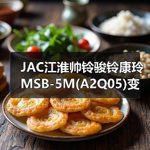 JAC江淮帅铃骏铃康玲MSB-5M(A2