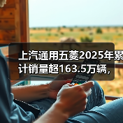 上汽通用五菱2025年累计销量超163.5万辆，新能源年销首超百万（图4）