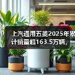 上汽通用五菱2025年累计销量超163.5万辆，新能源年销首超百万（图3）