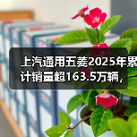 上汽通用五菱2025年累计销量超163.5万辆，新能源年销首超百万（图2）