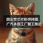 因安世芯片断供持续,广汽本田工厂复工推迟至1月19日(图3) 因安世芯片断供持续,广汽本田工厂复工推迟至1月19日(图3)