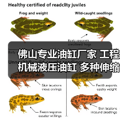 佛山专业油缸厂家 工程机械液压油缸 多种伸缩支腿油缸定做（图3）