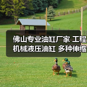 佛山专业油缸厂家 工程机械液压油缸 多种伸缩支腿油缸定做（图4）