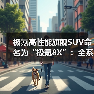 极氪高性能旗舰SUV命名为“极氪8X”:全系标配900V高压架构(图4) 极氪高性能旗舰SUV命名为“极氪8X”:全系标配900V高压架构(图4)