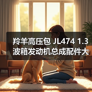 羚羊高压包 JL474 1.3波箱发动机总成配件大全（图4）