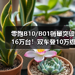 零跑B10/B01销量突破16万台!双车登10万级榜首(图3) 零跑B10/B01销量突破16万台!双车登10万级榜首(图3)