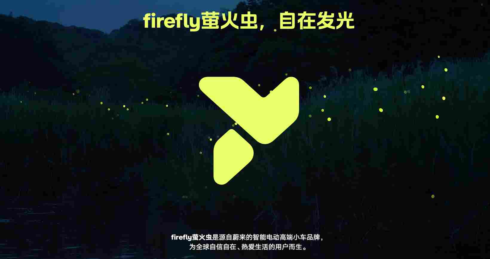 萤火虫，起势了