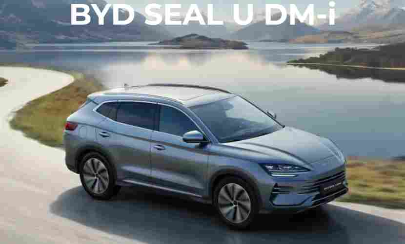 中国车企组团攻坚欧洲，背后藏着什么破局密码？